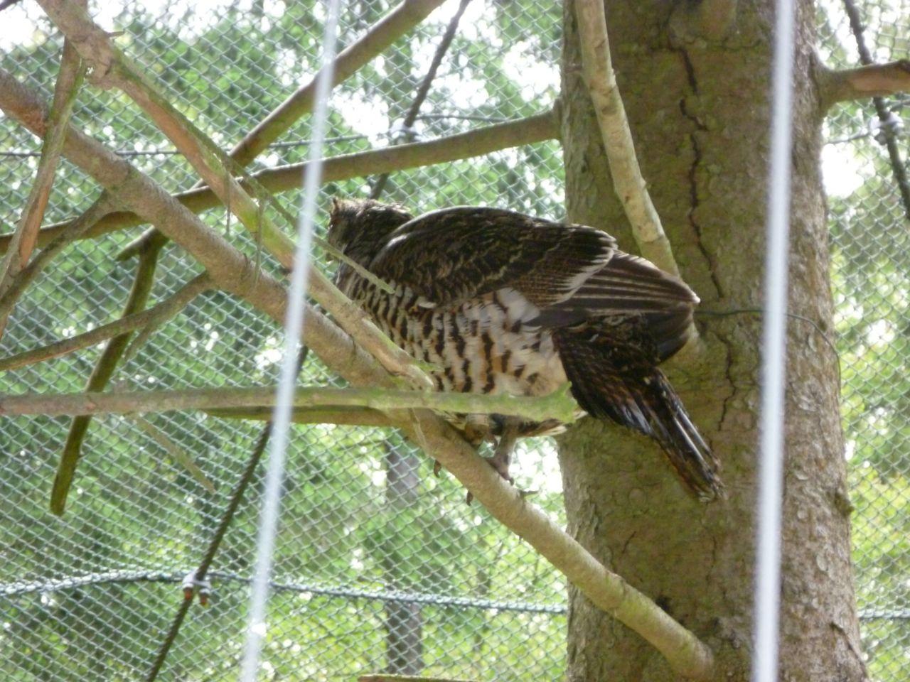 Bild vergr&ouml;ssern