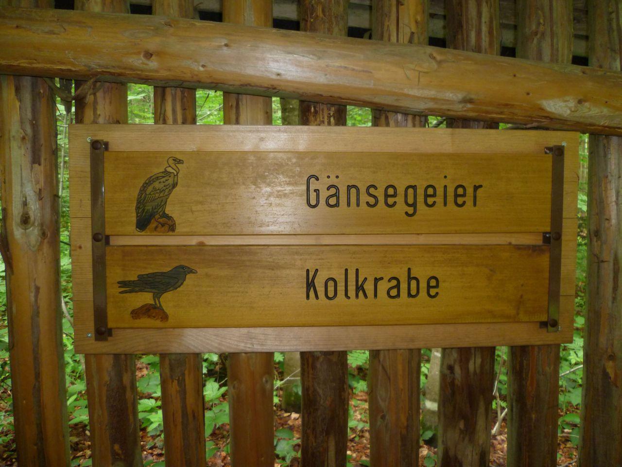 Bild vergr&ouml;ssern