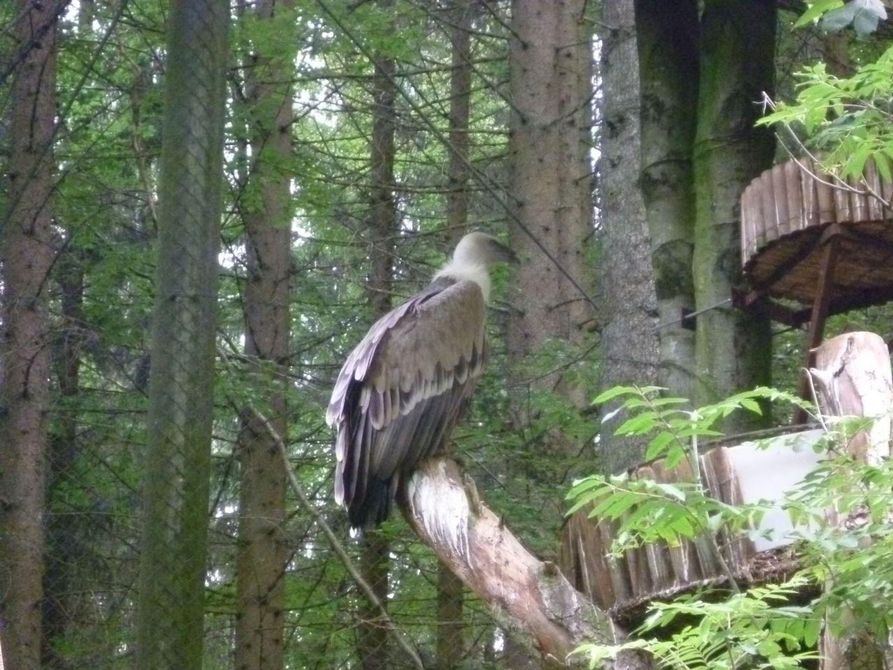 Bild vergr&ouml;ssern