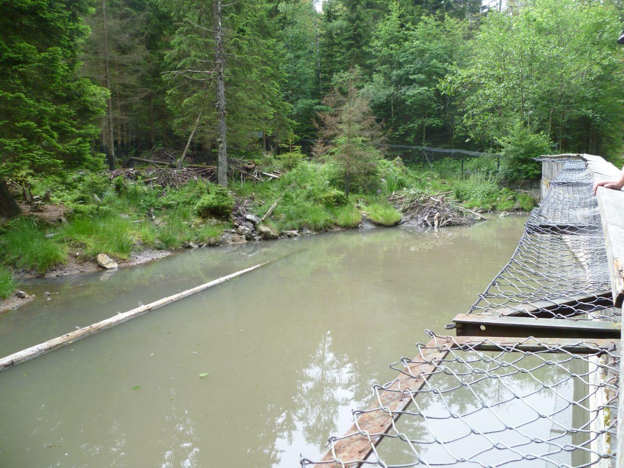 Bild vergr&ouml;ssern