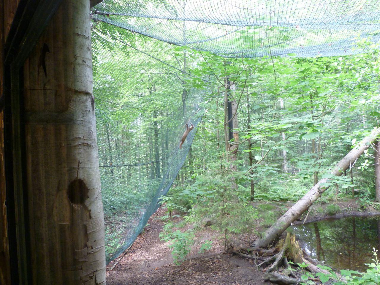 Bild vergr&ouml;ssern