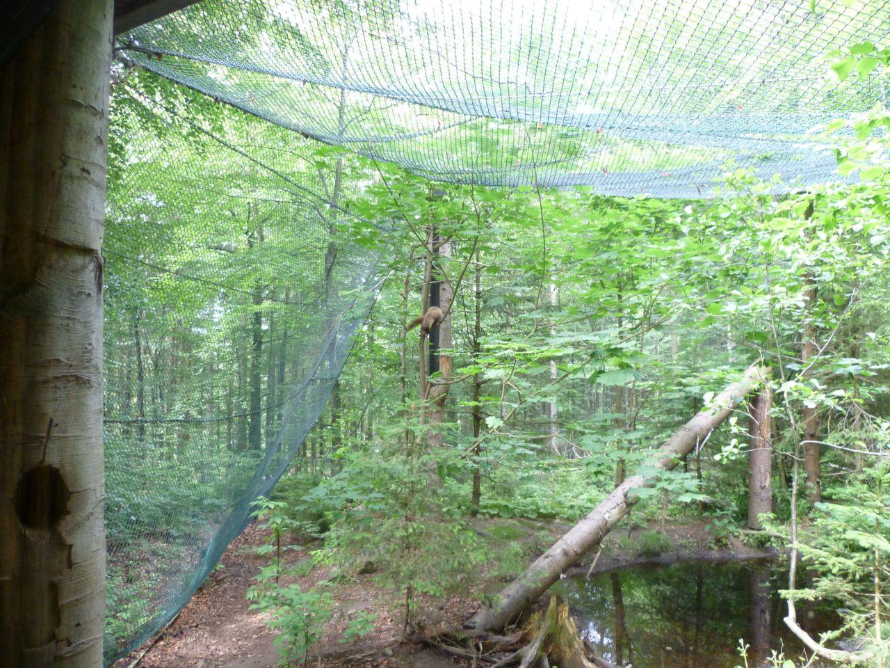 Bild vergr&ouml;ssern