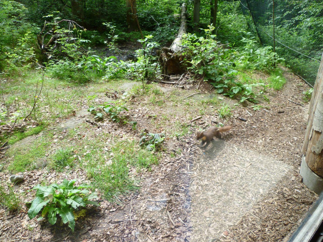 Bild vergr&ouml;ssern