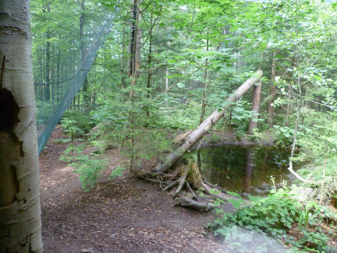 Bild vergr&ouml;ssern