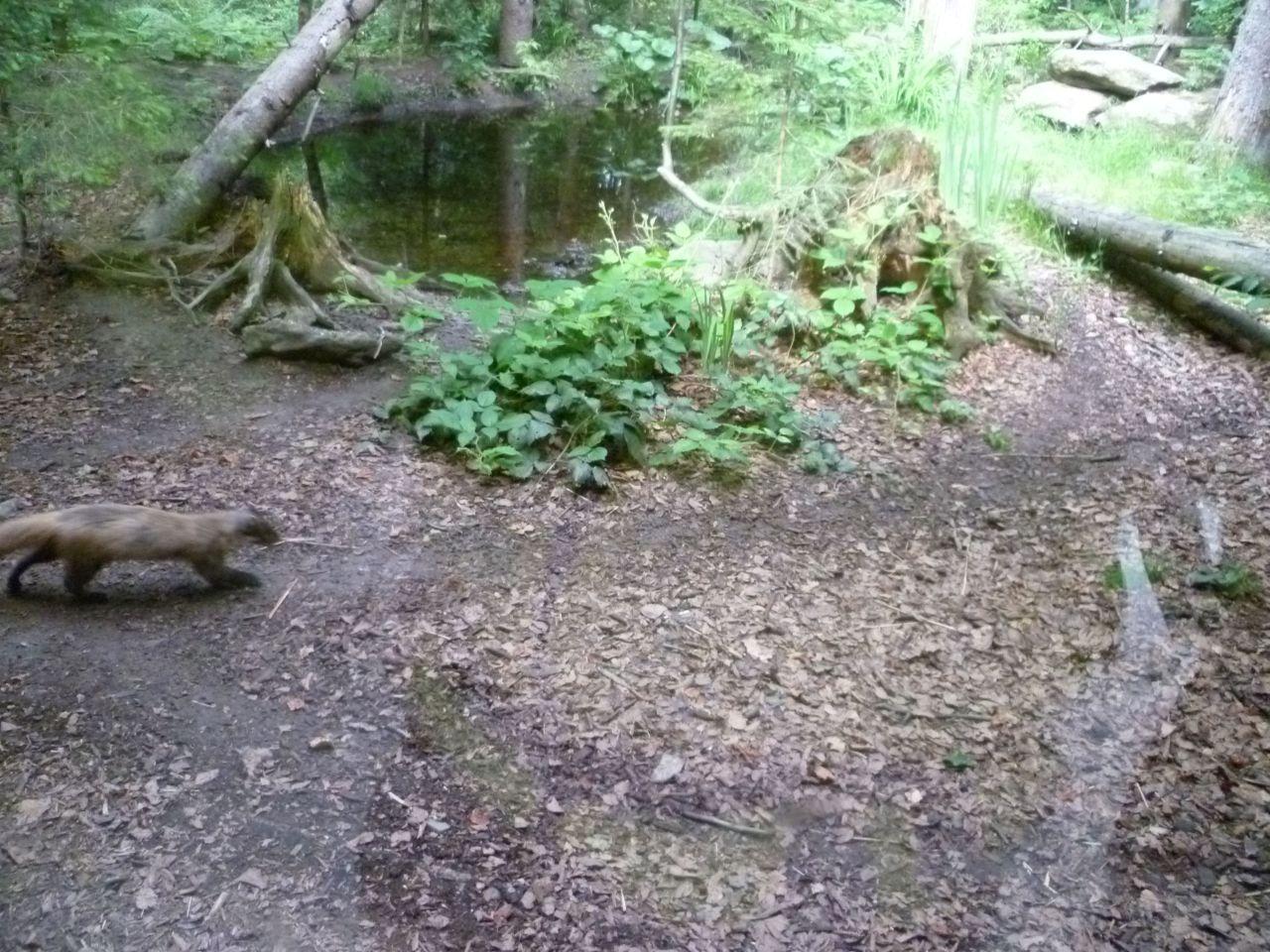 Bild vergr&ouml;ssern