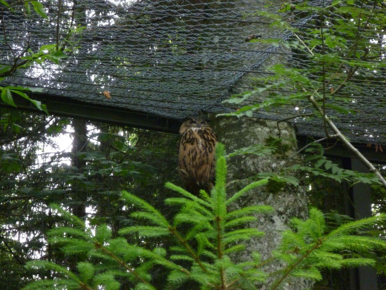Bild vergr&ouml;ssern