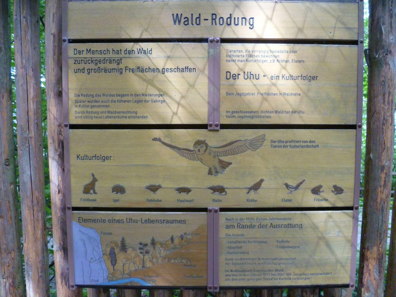 Bild vergr&ouml;ssern