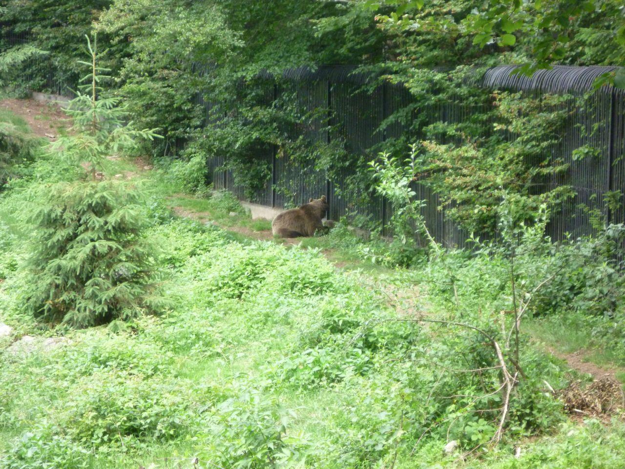 Bild vergr&ouml;ssern