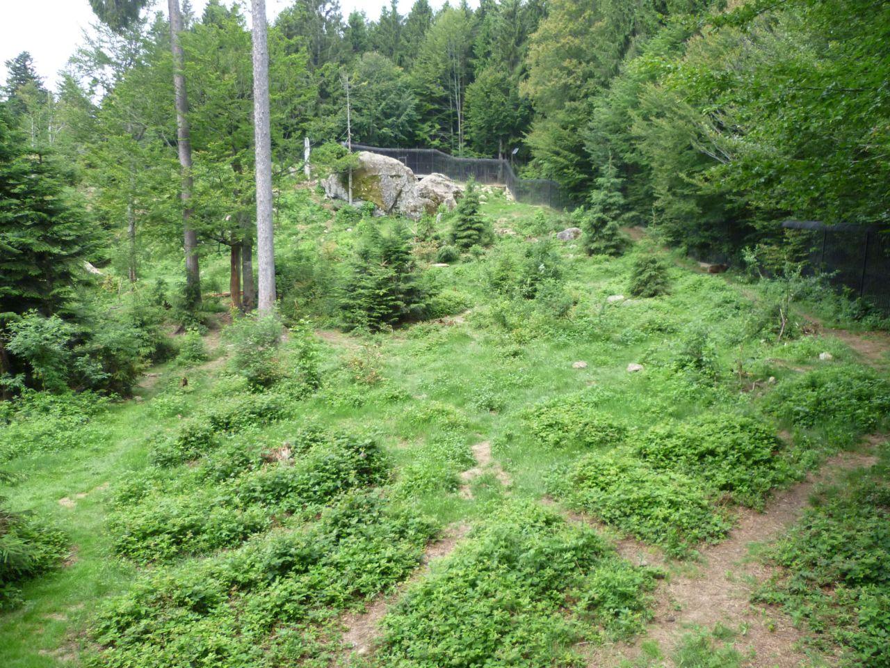 Bild vergr&ouml;ssern