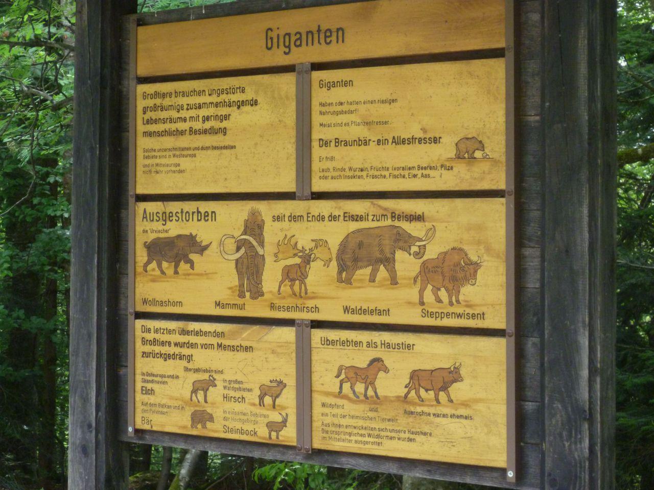 Bild vergr&ouml;ssern