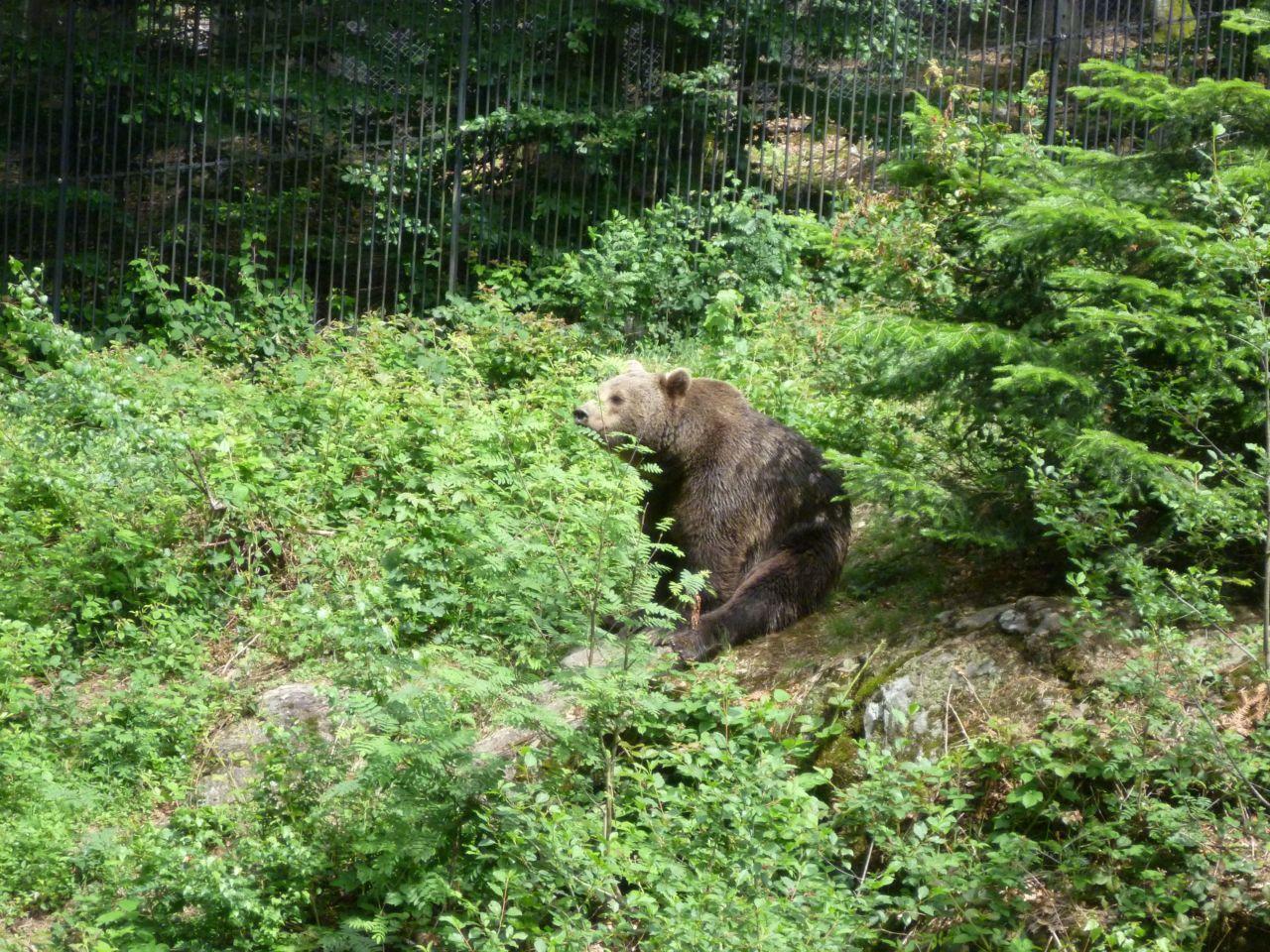 Bild vergr&ouml;ssern