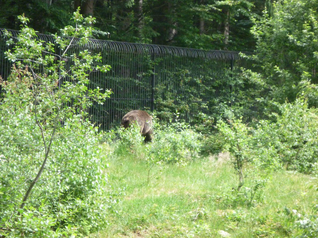 Bild vergr&ouml;ssern