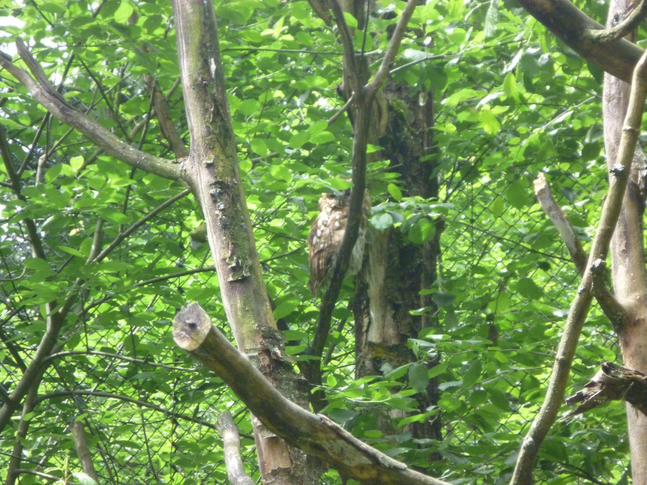 Bild vergr&ouml;ssern