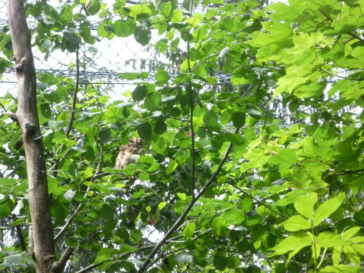 Bild vergr&ouml;ssern