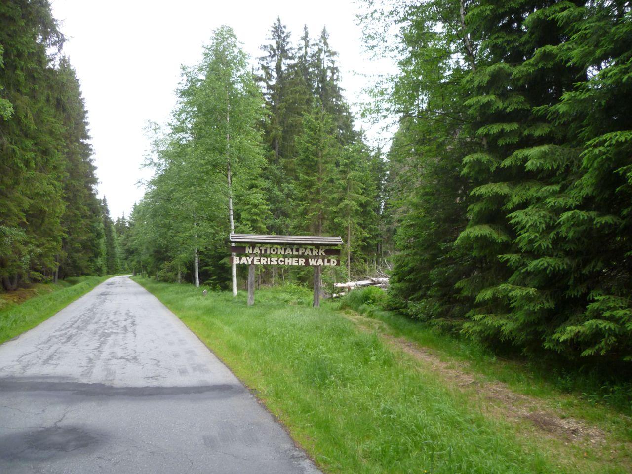 Bild vergr&ouml;ssern