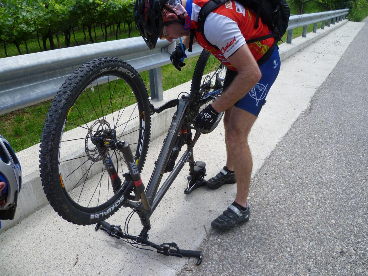 Bild vergr&ouml;ssern