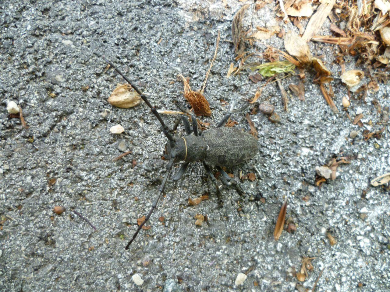 Bild vergr&ouml;ssern