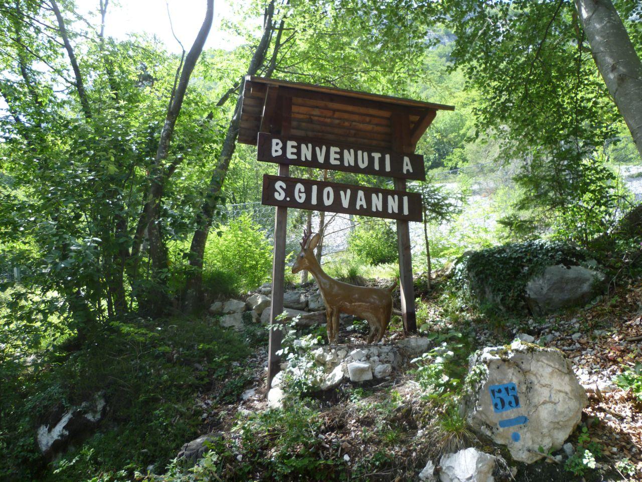 Bild vergr&ouml;ssern