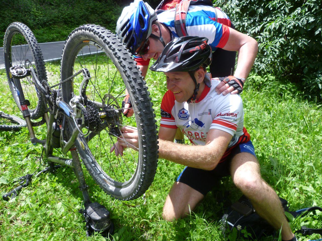 Bild vergr&ouml;ssern