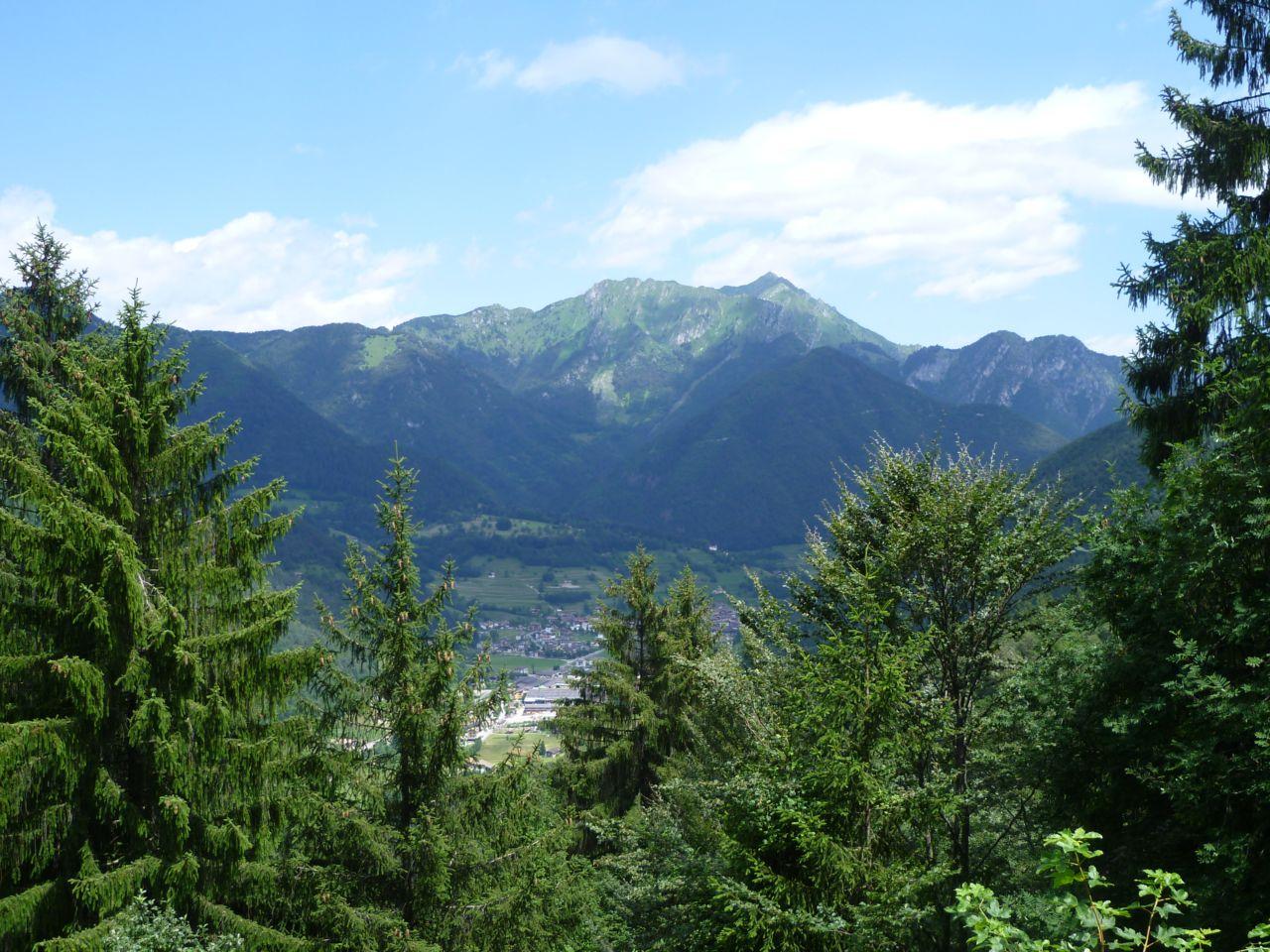 Bild vergr&ouml;ssern