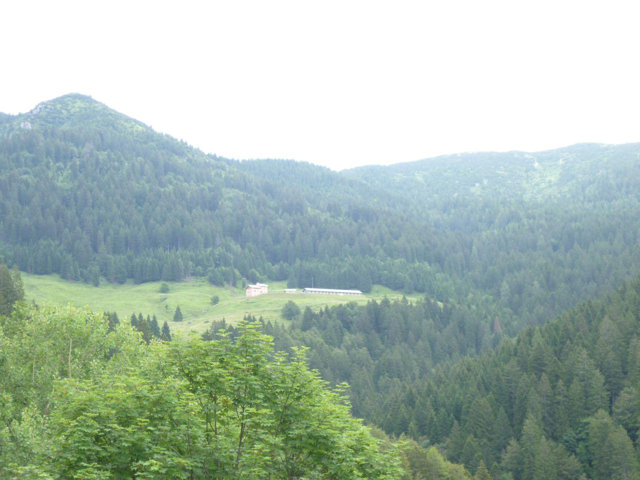 Bild vergr&ouml;ssern