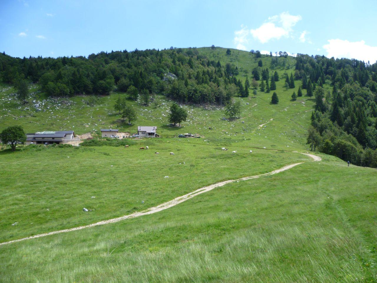 Bild vergr&ouml;ssern