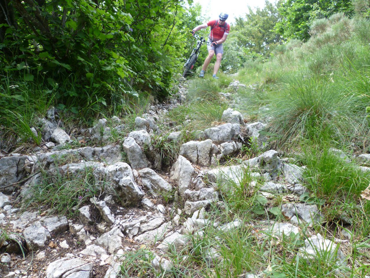 Bild vergr&ouml;ssern