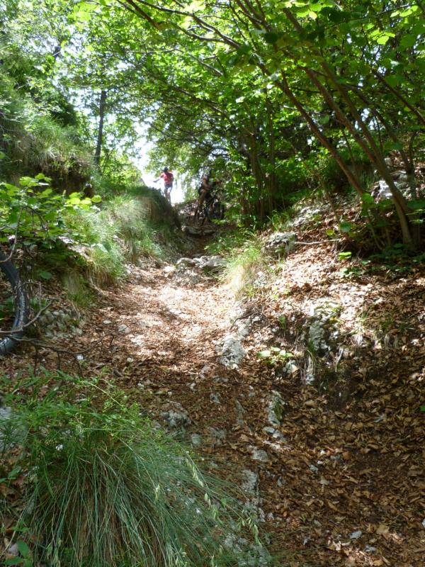 Bild vergr&ouml;ssern