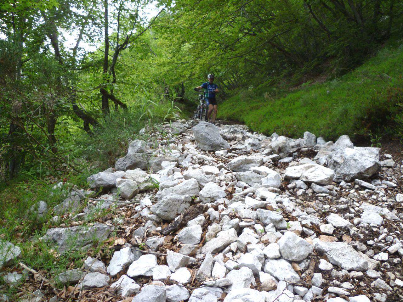 Bild vergr&ouml;ssern