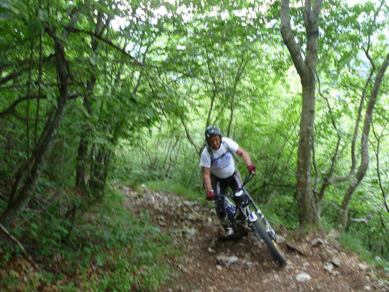 Bild vergr&ouml;ssern