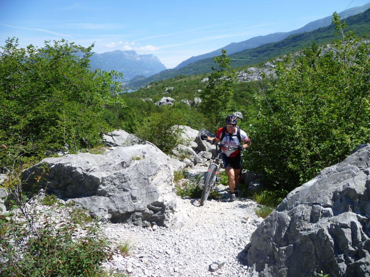 Bild vergr&ouml;ssern