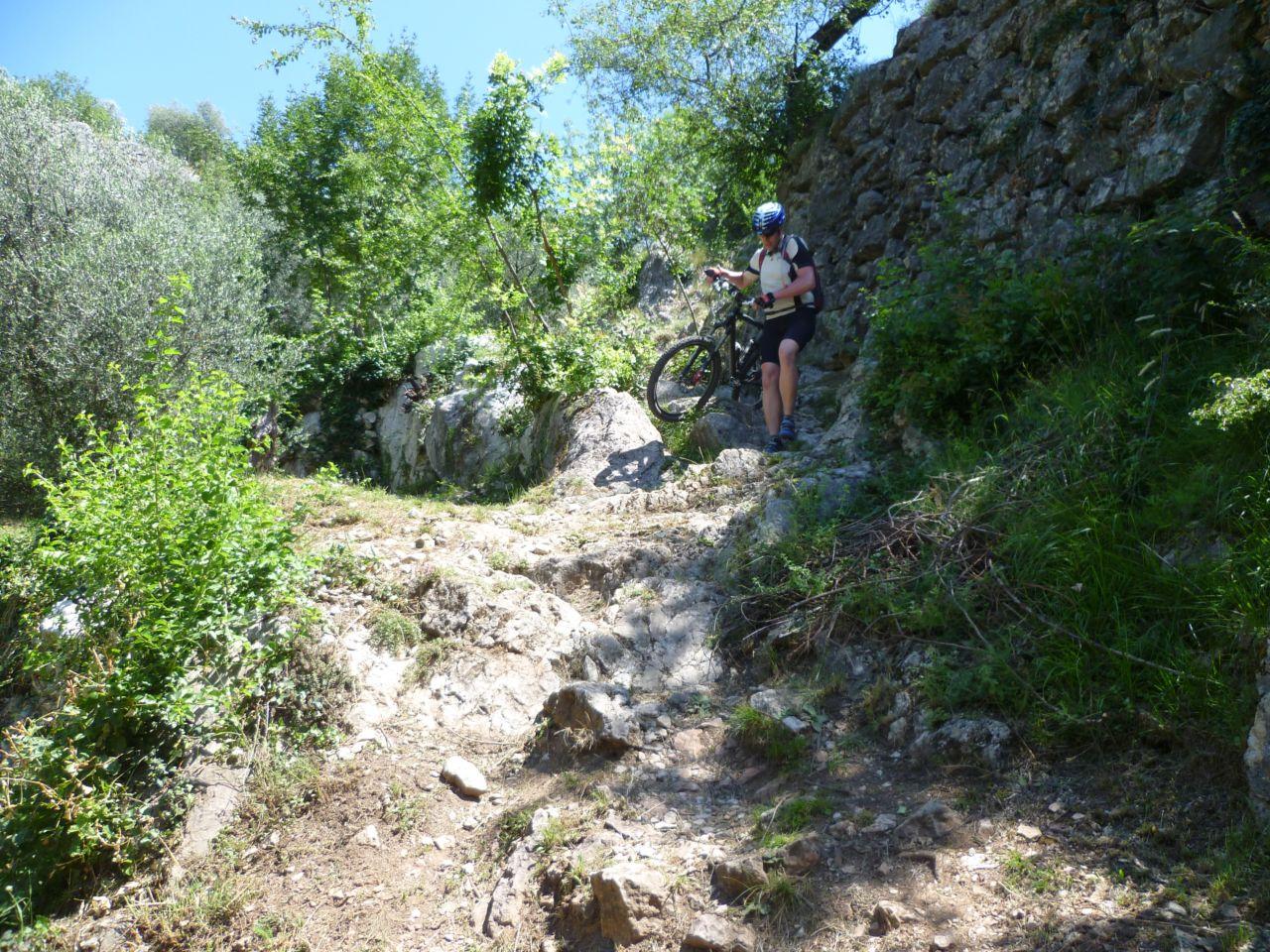 Bild vergr&ouml;ssern