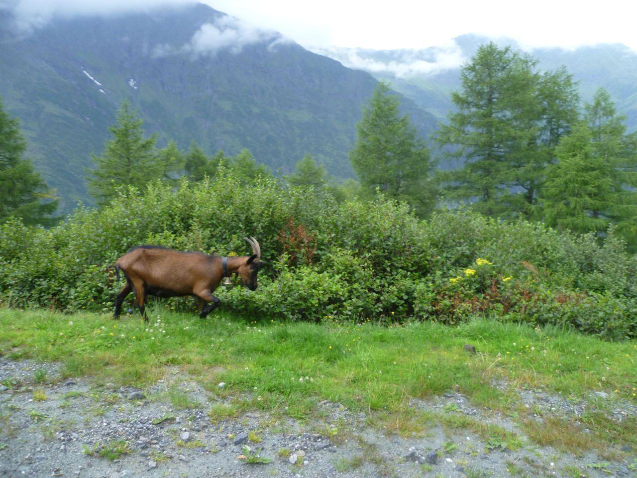 Bild vergr&ouml;ssern