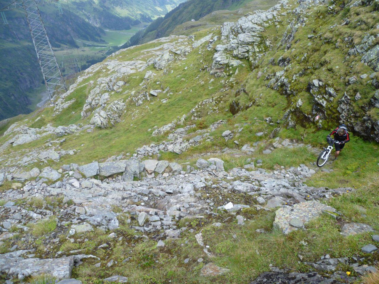 Bild vergr&ouml;ssern