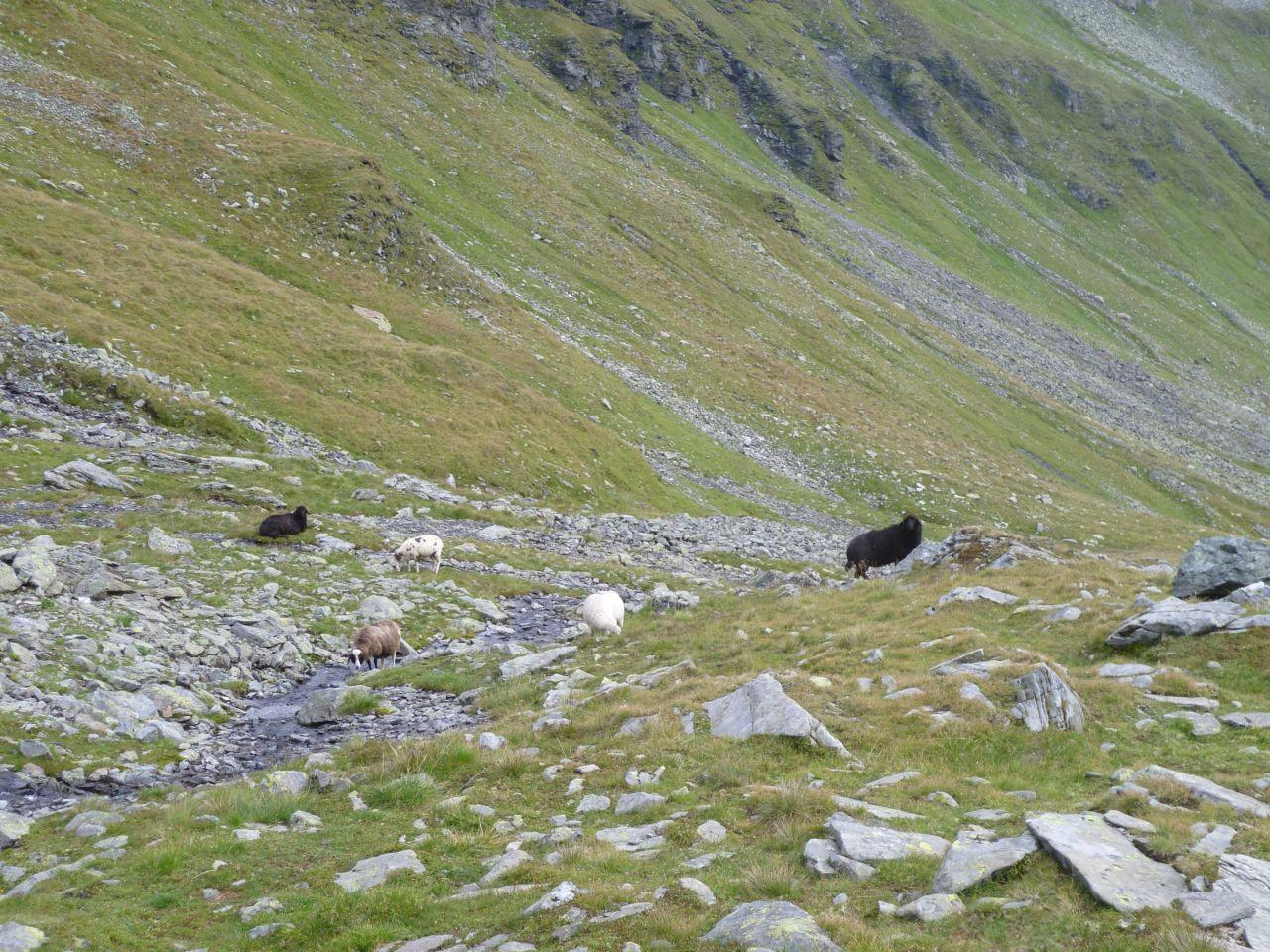 Bild vergr&ouml;ssern