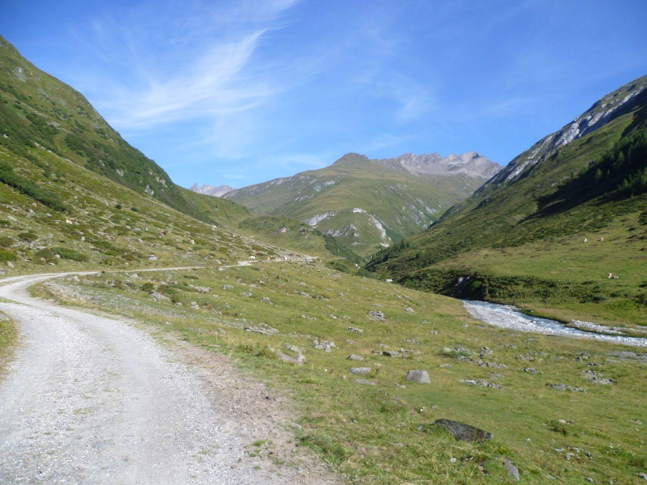 Bild vergr&ouml;ssern