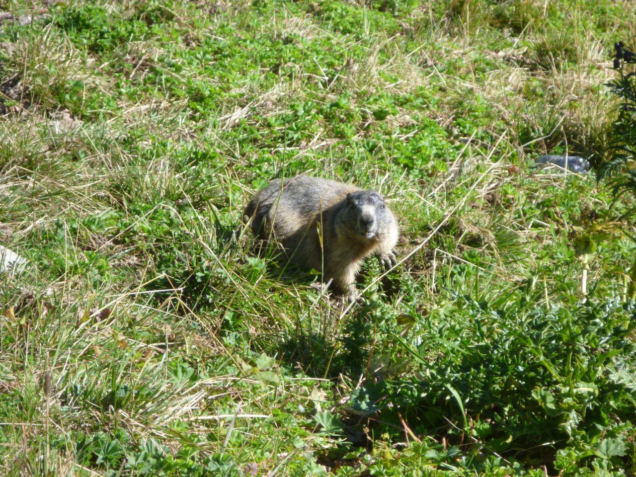 Bild vergr&ouml;ssern