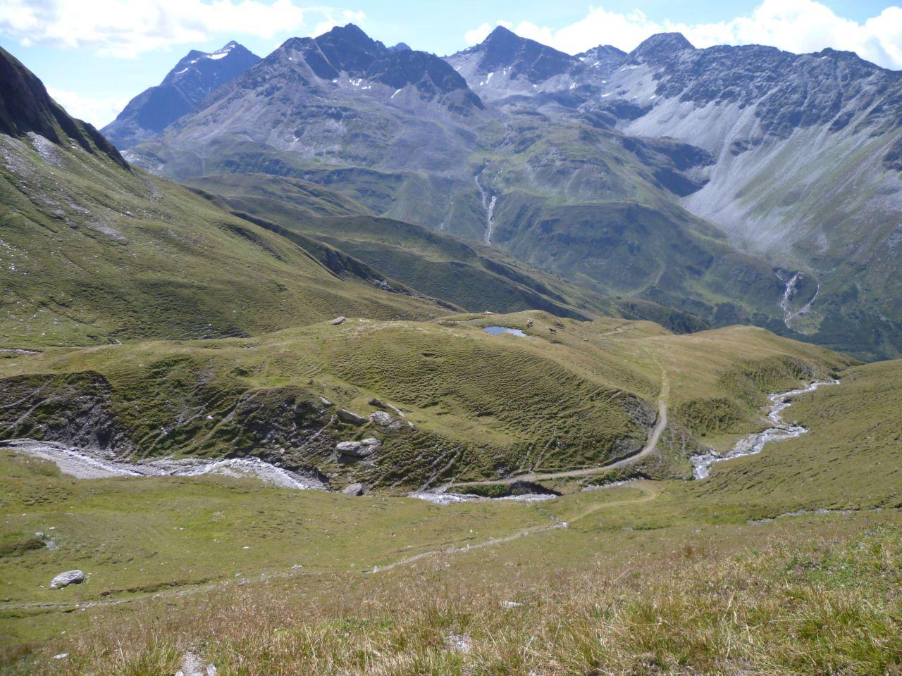 Bild vergr&ouml;ssern