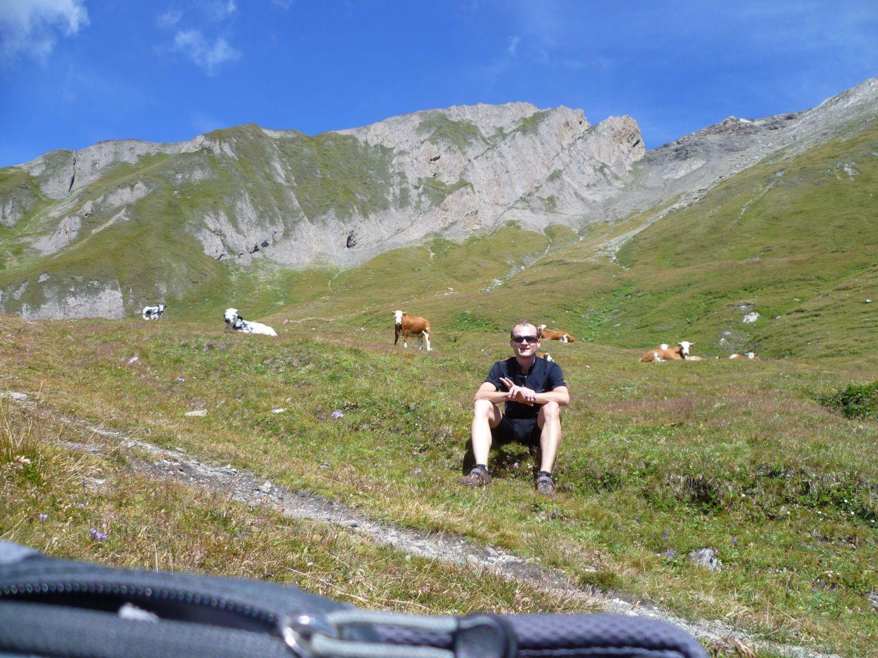 Bild vergr&ouml;ssern