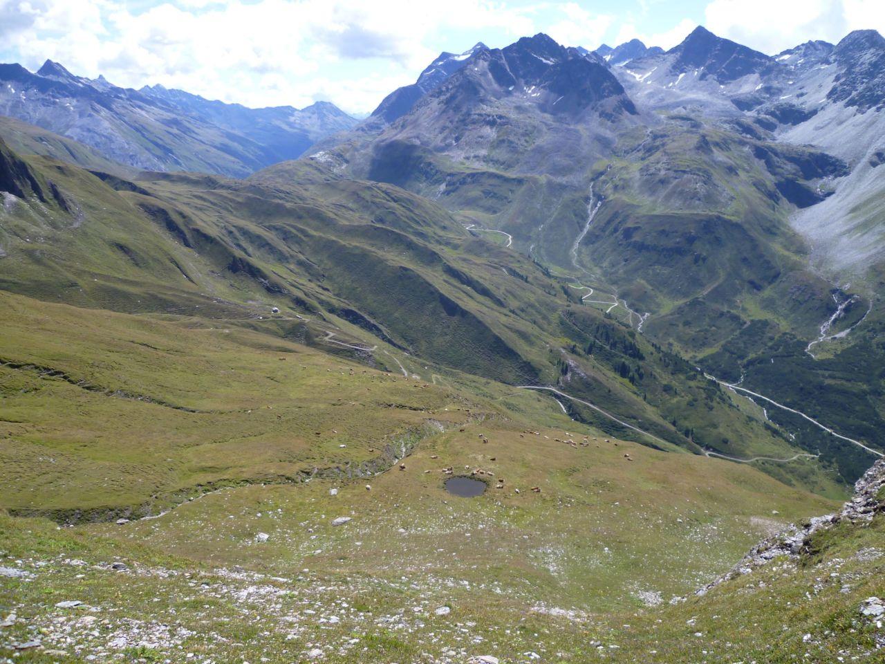 Bild vergr&ouml;ssern