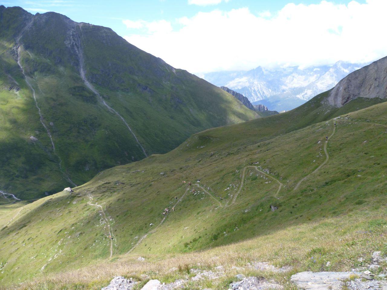 Bild vergr&ouml;ssern