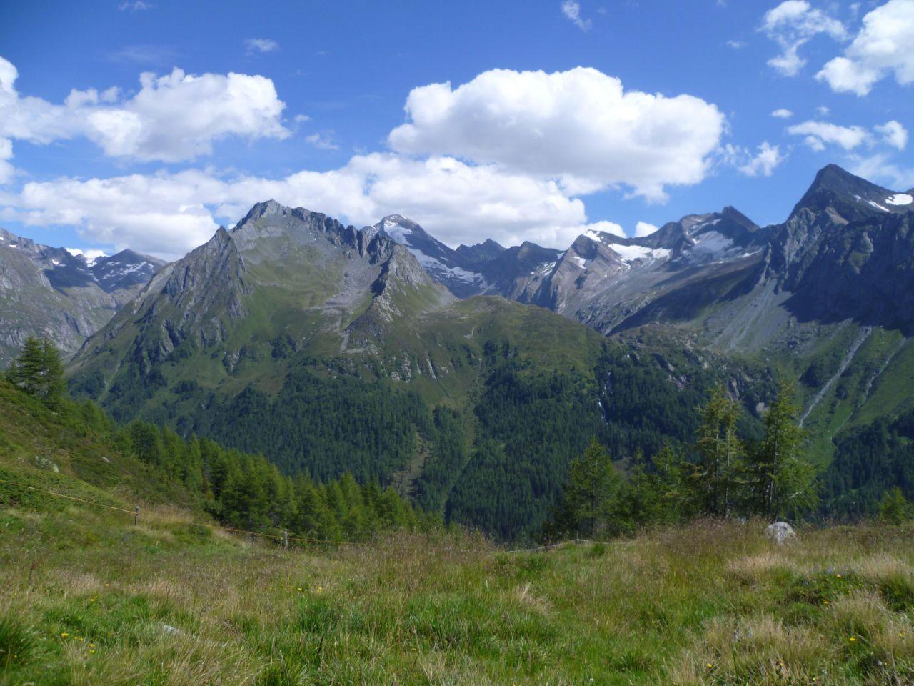 Bild vergr&ouml;ssern