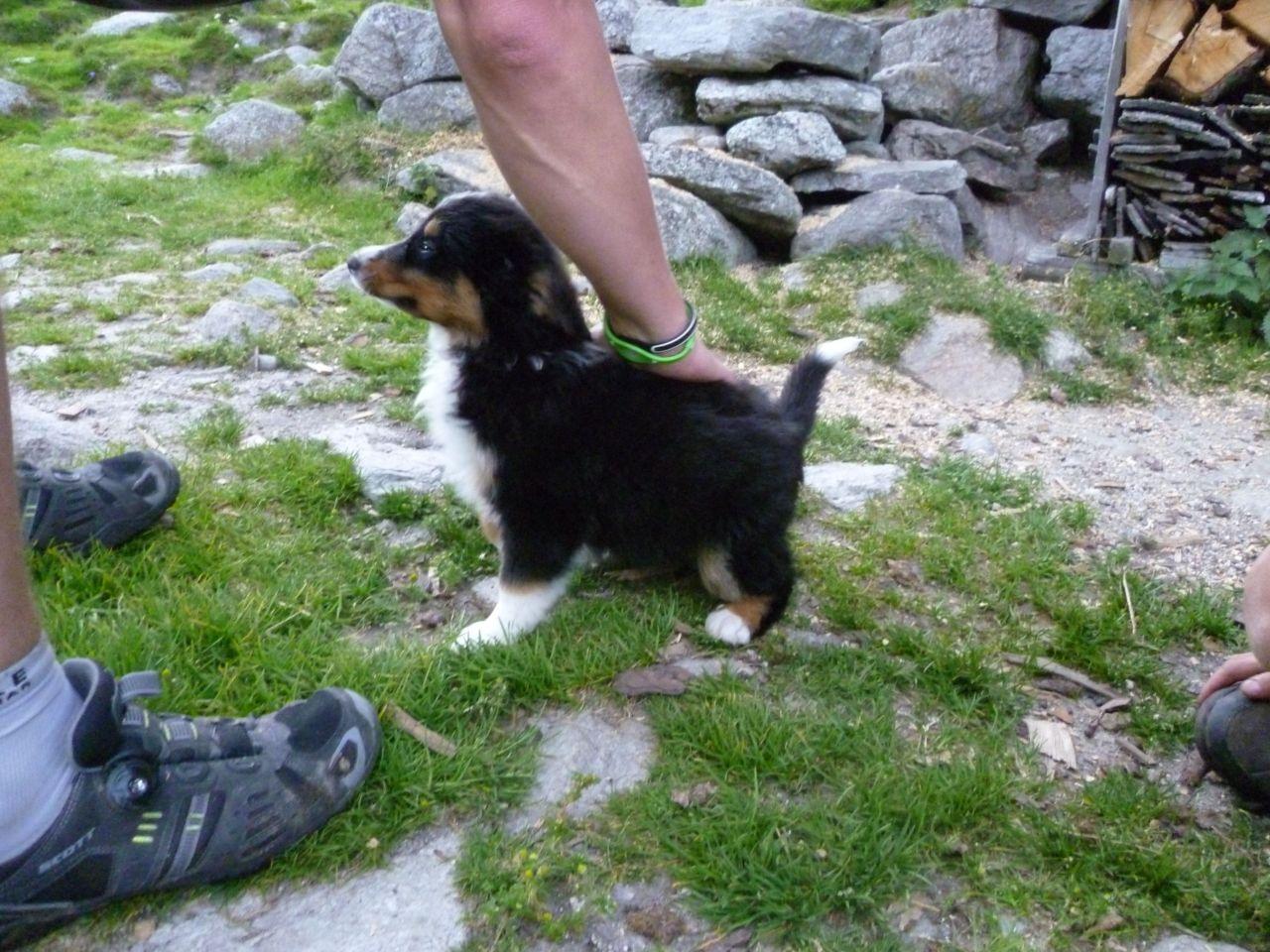 Bild vergr&ouml;ssern