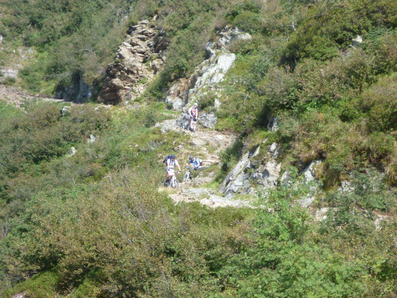 Bild vergr&ouml;ssern