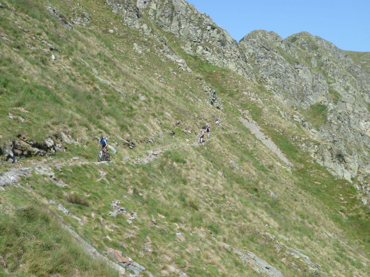 Bild vergr&ouml;ssern