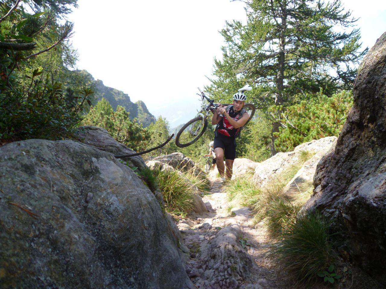 Bild vergr&ouml;ssern