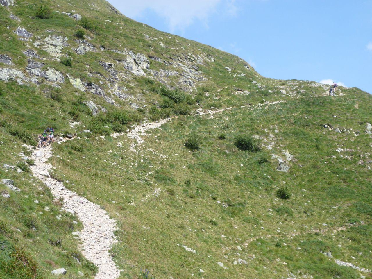 Bild vergr&ouml;ssern