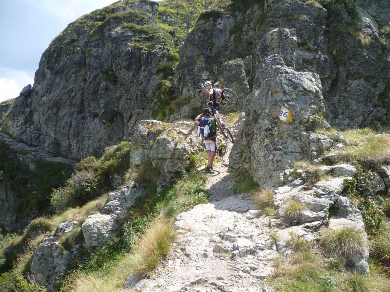 Bild vergr&ouml;ssern