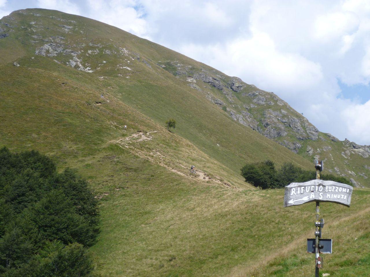 Bild vergr&ouml;ssern