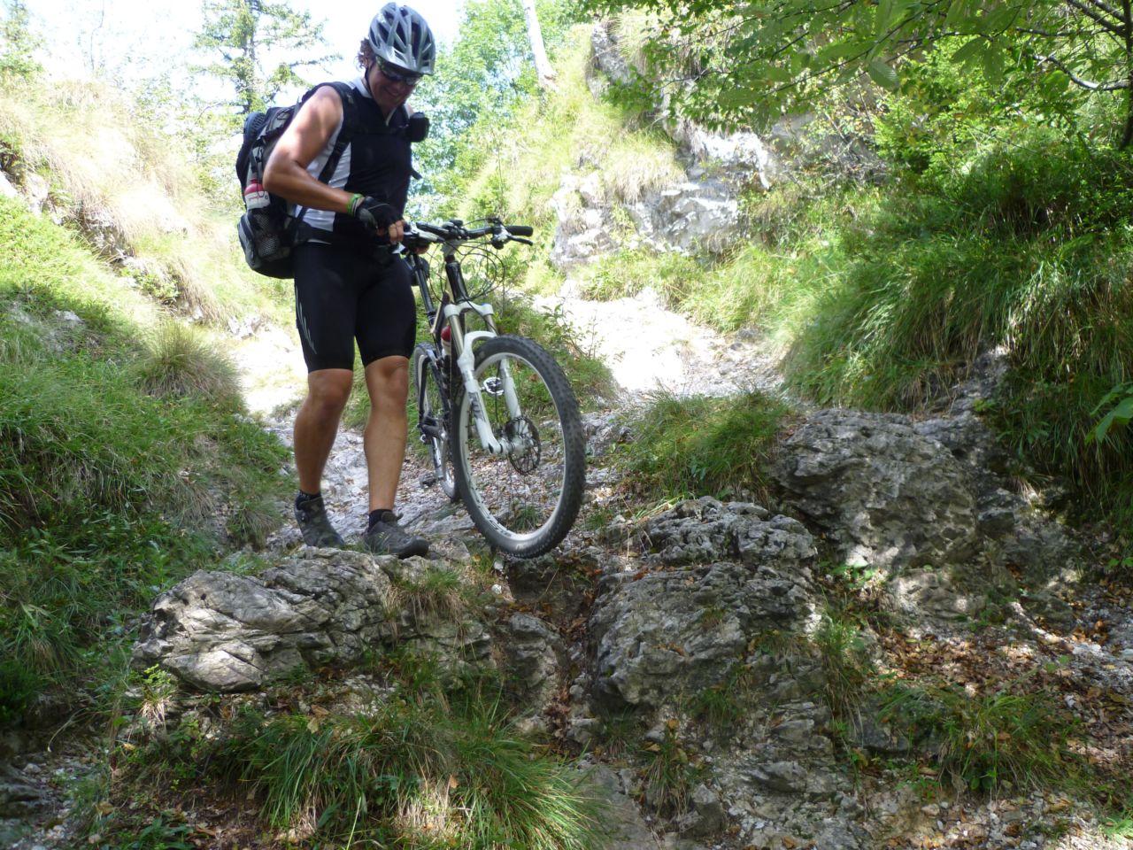 Bild vergr&ouml;ssern